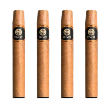 Xo Havana Disposable Cigar